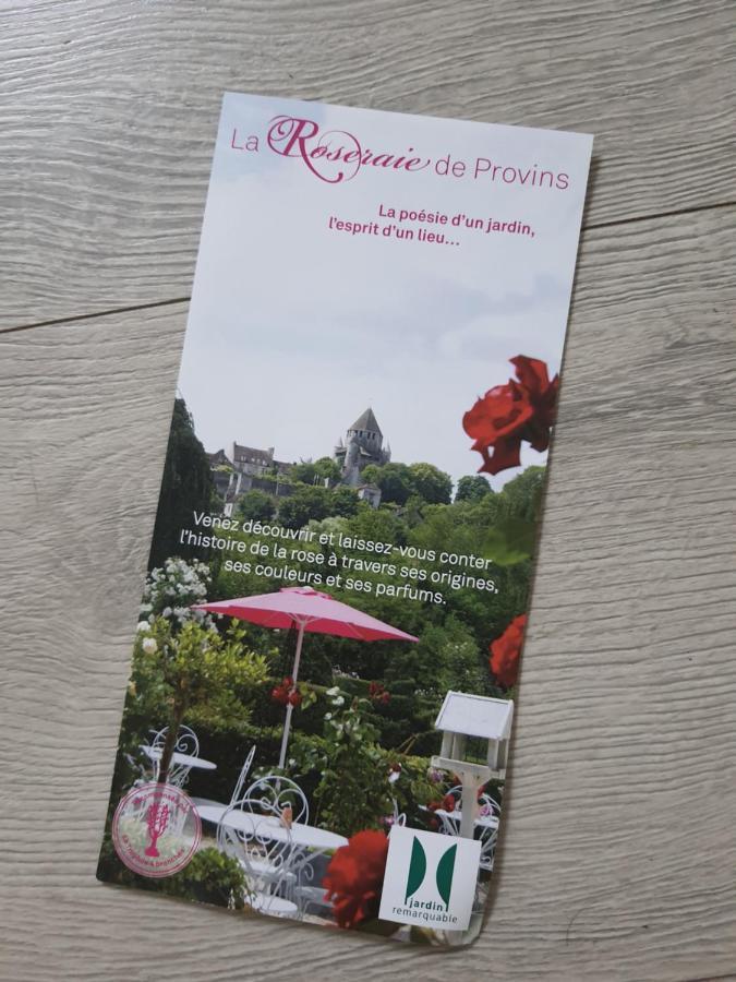 Detente Provinoise Provins Zewnętrze zdjęcie